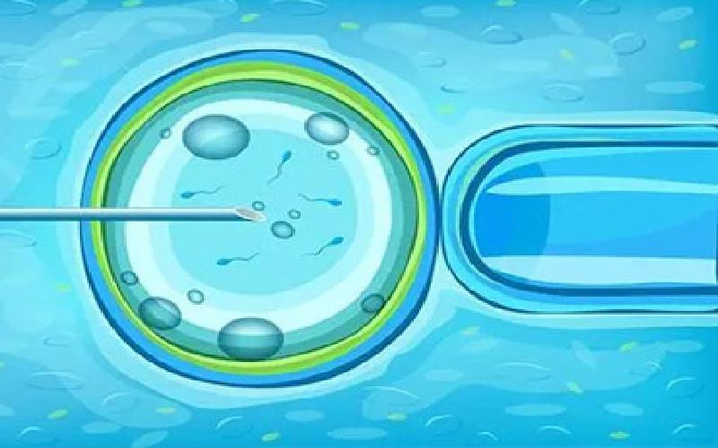 试管移植的内膜代生